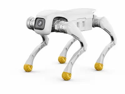 AgiBot D1