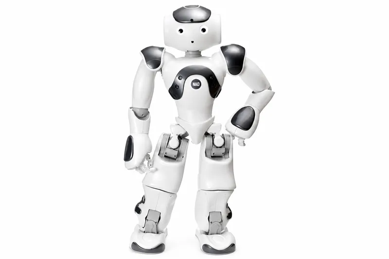 Aldebaran NAO 6
