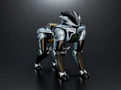 Kawasaki CORLEO