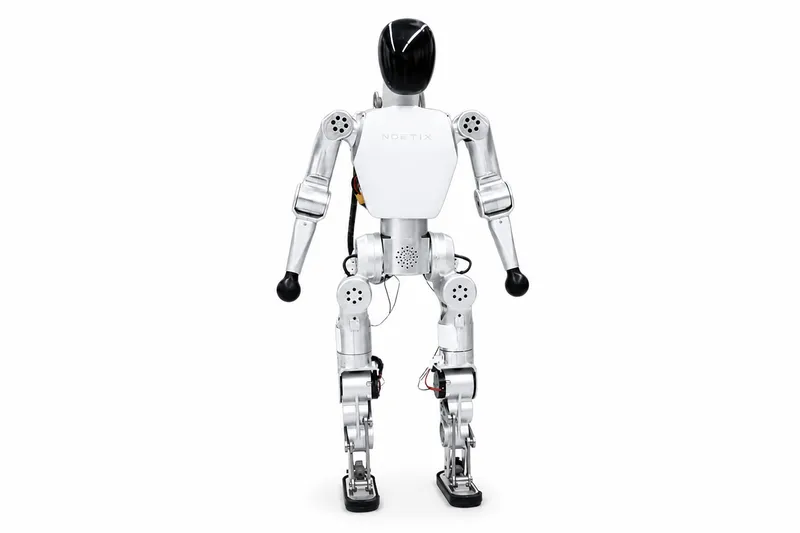 Noetix Robotics Bumi