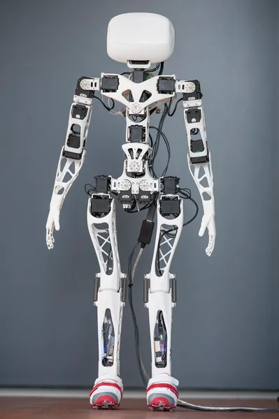 Poppy Project Poppy Humanoid