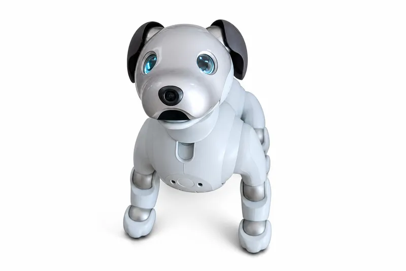 Sony aibo ERS-1000
