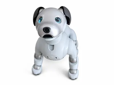 Sony aibo ERS-1000