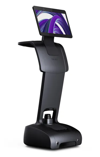 temi temi V3